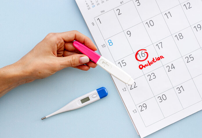 Egg-citing Times: Understanding Ovulation for Pregnancy