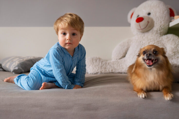 How Do Dogs Know To Be Gentle With Babies?