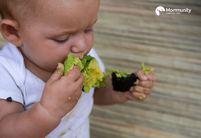 How To Give Avocado To Babies? Benefits Of Avocado